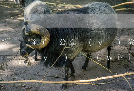 除了對公立醫(yī)院的限制，首部基本醫(yī)療衛(wèi)生法還說了什么？